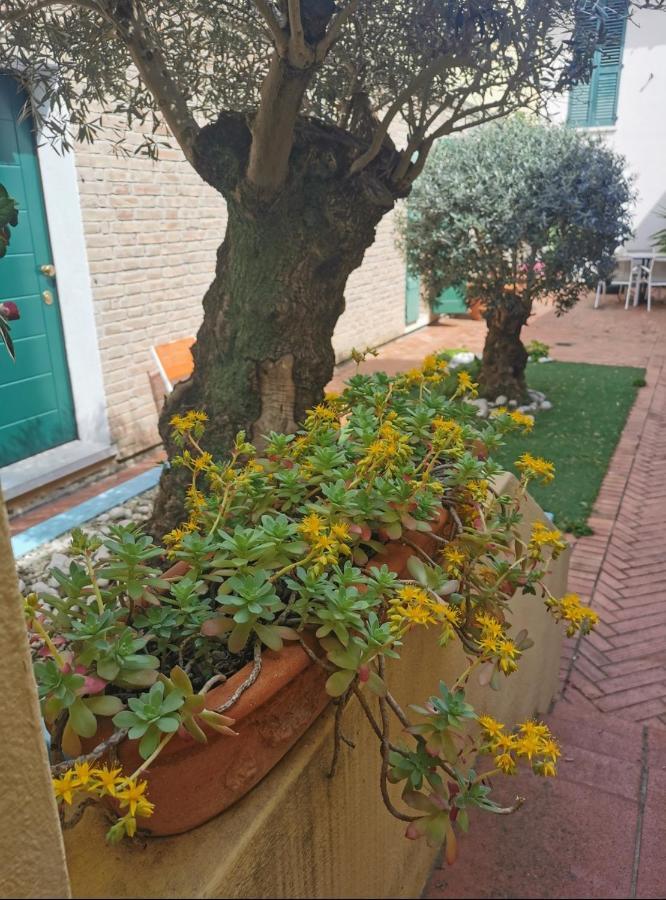 B&B La Chicca Ravenna Ngoại thất bức ảnh