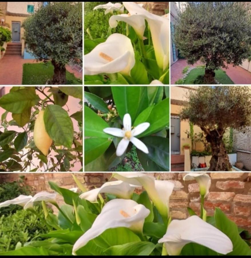 B&B La Chicca Ravenna Ngoại thất bức ảnh
